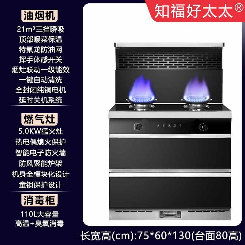 파이프 천연가스 [공장 직배송, 택배] - 750캐비닛 [업그레이드된 오일필터 모델]