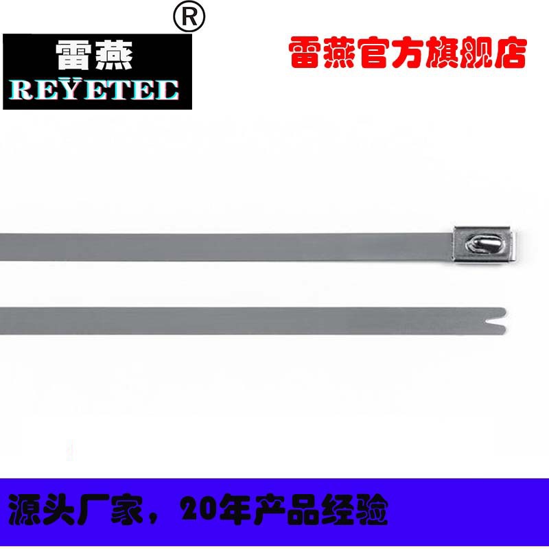 REYETEC带球锁的不锈钢电缆扎带111-01943 | MBT5S-SS316-ML
