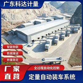 地磅;电子秤;定量秤