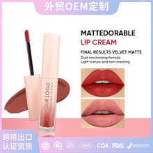 Lip Cream美妆跨境唇釉OEM/ODM哑光雾面防水持久口红唇部脸颊腮红