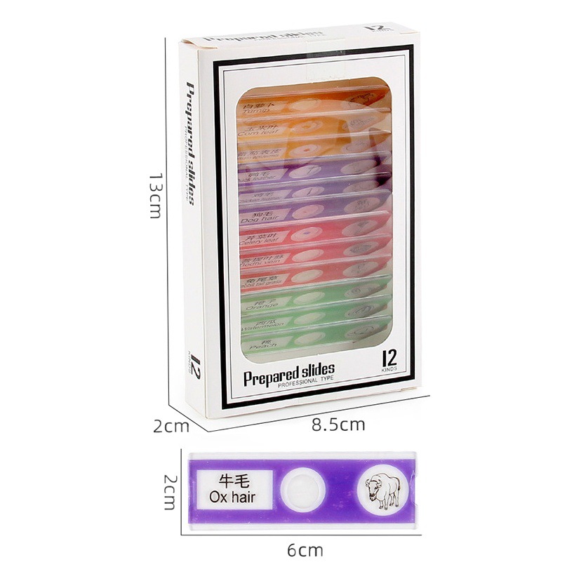 Especial DE LOS NIÑOS microscopio accesorios rebanada 12 diapositivas Animal planta fruta vegetal plástico biológico espécimen