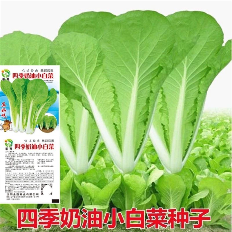 Крем Семена Китайской Капусты Термостойкие Быстрорастущие Семена Овощей Раннее созревание Мелкие Овощи Балкон Горшок Четыре Сезона Семена Овощей