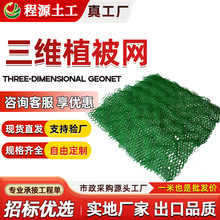 �@���o�¼ӹ����Sֲ���Wֲ�ݼӽ�hdpe���S�ͺ����W�Gɫ���Sֲ���W