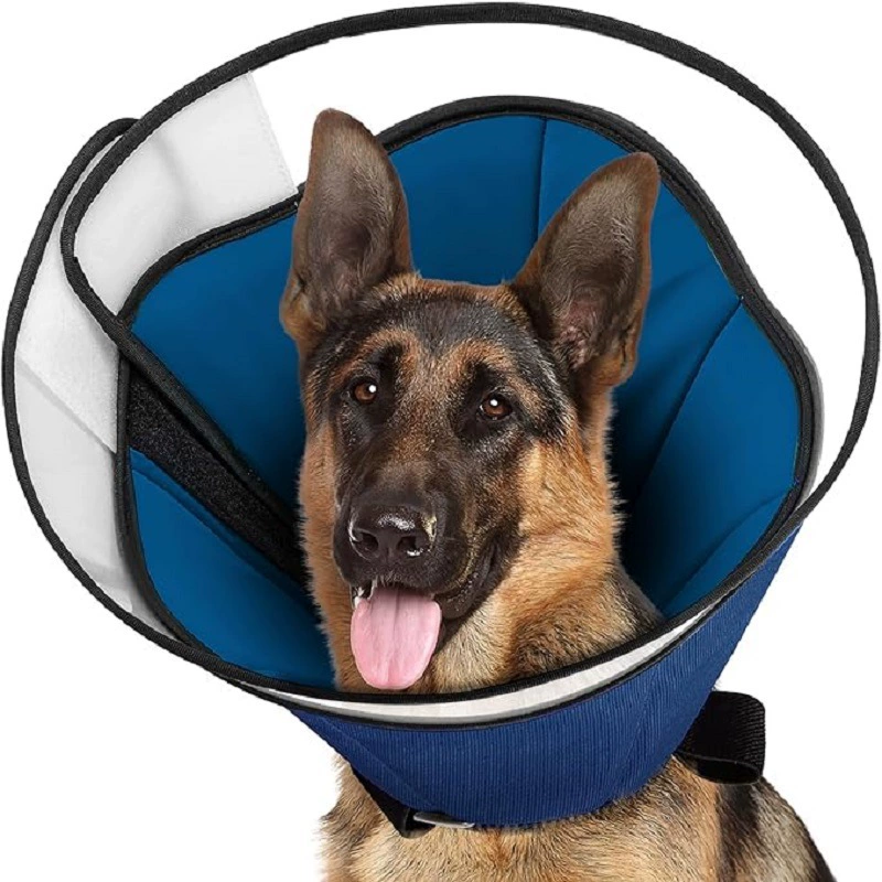 Трансграничный круг Элизабет собаки позор собаки домашние животные большие собаки против лизания и укус ошейник стерилизация dog cone