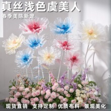 �z�W����c��ˇ����·�����滨��̨�[���̈�չʾ��������ֹ���