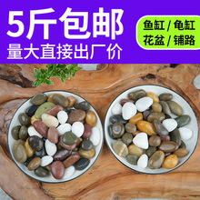 鹅卵石雨花石原石鱼缸花盆石天然小石子庭院装饰园艺五彩石头铺地
