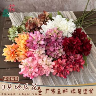 �羳3�^�عϻ����潁���ٻ� 3�^���������l �͹Ż�c�҃ȸ߼��[��