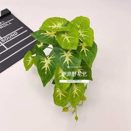 仿真绿植马蹄叶壁挂藤条植物盆栽家居室内装饰婚庆植物墙配材爬宠