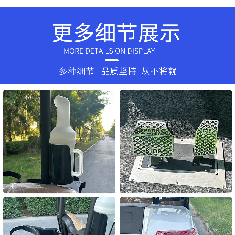 Multifunctional Electric Golf Cart Sand Bucket Ball Washer Insulated Box Rain Curtain Golf Cart for Golf Course