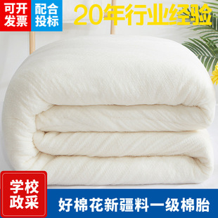 �½��޻�����̥�����W������ȫ�������׃��@�ޱ��������Ӊ|�챻о