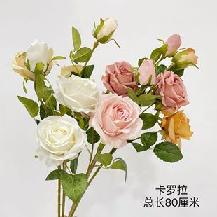 ����õ�� �������Z �̲�ɫ õ�廨 ��Y�ҾӔ[���b����W�t���l