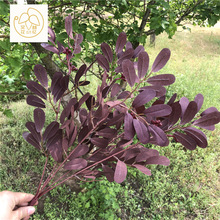 ����5�旗�~ �����~�ϙ��~������c��Y�ò廨�b����Q�������l