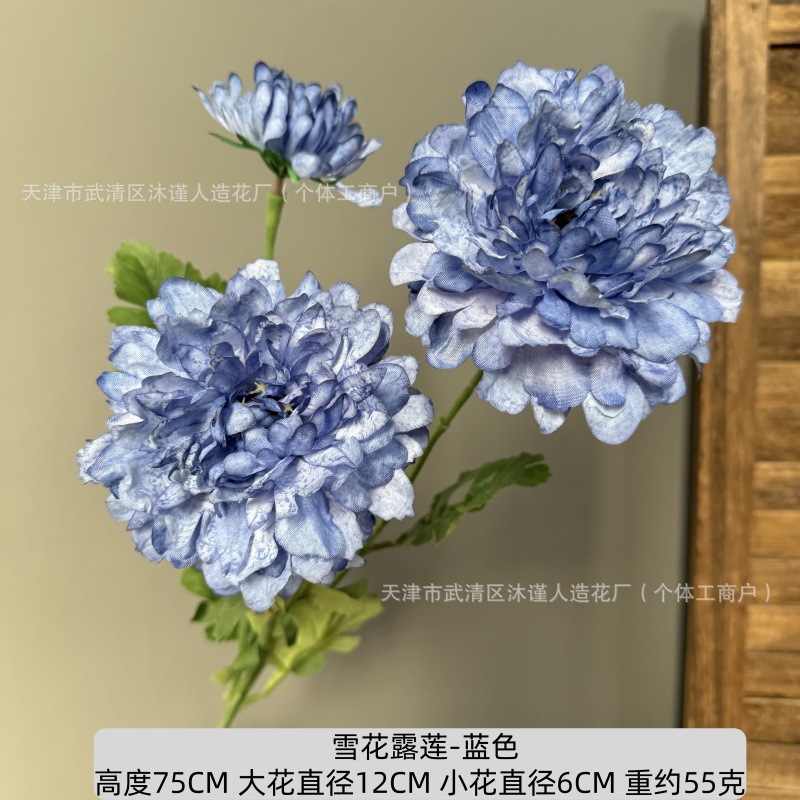 눈꽃 연꽃