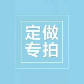 连衣裙;女式T恤;女式衬衫