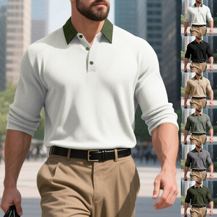 ���R�d��ʽ�＾���I�L��Polo�������ݼy���e�ߠ����ذ�ײɫ������