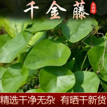 ǧвș500grɷNSVλuw׹F