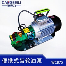 包邮WCB30/50/75/100自吸润滑油柴油泵手提便携齿轮油泵 凉油机泵