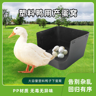 ���C���Ӽ����C���C���ϼ����C��Ѩ�����е����C�a���C�u���Z�F؛