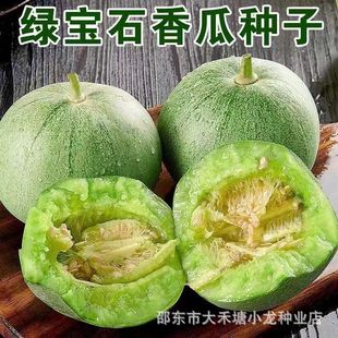 �G��ʯ��ϷN�ӱ�Ƥ�����������Ѵ����ļ�����߮aͥԺ�N�Ӵ�ȫ