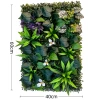 Plant wall lawn 001