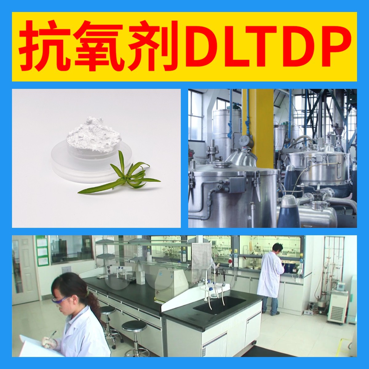 抗氧剂DLTDP 硫代二丙酸双十二醇酯 化工大全品种齐全江苏福建