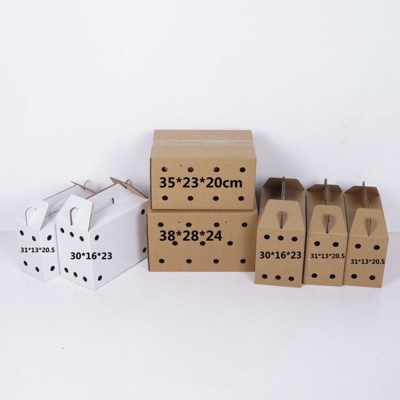 五层加厚手提赛鸽信鸽子物流纸箱带透气孔宠物运输箱发货牛皮纸盒