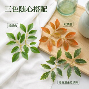 ����ֲ�������ɫ�u׃�~�Gֲ�b�DIY�ֹ�������ɫ�~Ƭ�廨�쾰��