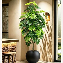 �پGֲ�b������_ľ�҃����Դ�����ؔ[���͏d�p�ݷ���ֲ���쾰