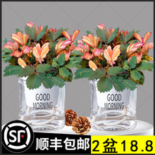 �ʺ纬�߲�С�����׃��@�WУ�҃�Ȥζ�����ļ����຦�߲��ֲ̨��