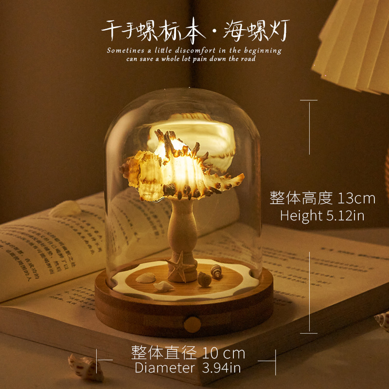 貝海胆ナイトライトガラスカバー完成品 DIY 材料パッケージチームビルディング活動のお供誕生日ギフト装飾品|undefined