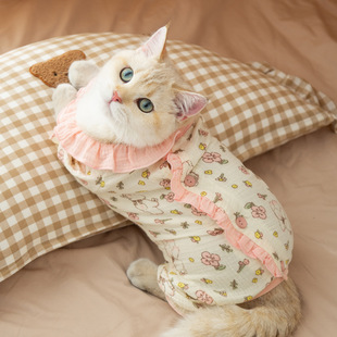 ����؈�·��ﶬ����ů�p�Ӽ�������߅����؈���ܹ������������_��