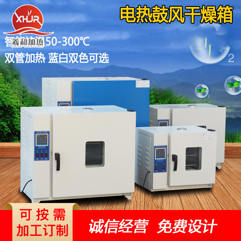厂家供应电热鼓风干燥箱 汽车大灯烤箱 实验工业商用烤箱老化箱