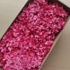 Darkest Sakura Pink Wood Hydrangea 90-100g per box