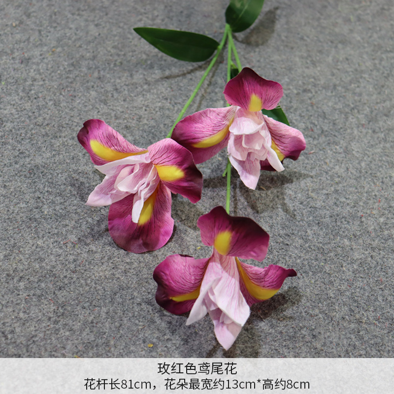 Flor de iris rojo rosa