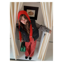 棉服马甲立领外套女款2025年秋冬装时尚加厚保暖坎肩外穿马夹背心