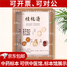 t˱ș˱չʾĘ˱bвș˱tĻ