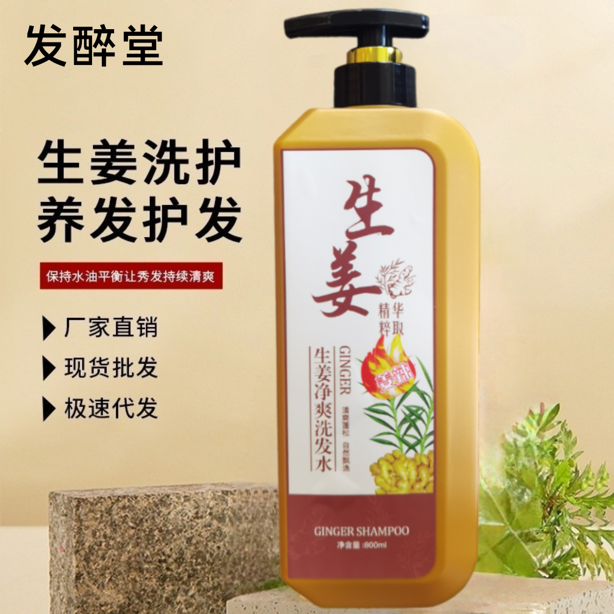 Fa Zui Tang Fresh Ginger Ginger Shampoo Jianfa Root-fixing Dandruff-removing Antipruritic Refreshing Oil-controlling Pregnant Women's Monthly Size