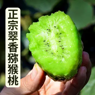 现摘陕西翠香猕猴桃新鲜水果绿心奇异果当季应整箱5斤弥猴挑包邮