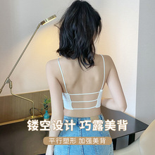 新款辣妹美背抹胸吊带背心女外穿内搭打底一体式固定胸垫裹胸内衣