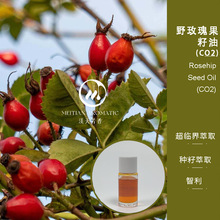 Ұõ�������&middot;���R��CO2��ȡ ���췼��ԭ�����l
