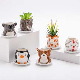 外贸陶瓷卡通大象跨境热卖考拉企鹅动物多肉花缸创意家居园艺盆栽