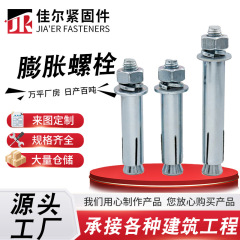 在庫あり 卸売 膨張ボルト 建築用亜鉛メッキネジ 外ネジ ステンレス製引抜ボルト 工事専用