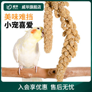 �W�^��Ȼ���뎧���S����С�����P��Ƥ����B�Z�Bʳ���B�����B��ʳ