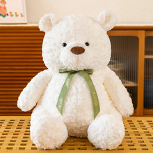 江月熊毛绒玩具动物抱抱熊儿童女友礼物可爱公仔玩偶泰迪熊小熊