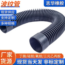 ��ɫ��܇��������ܛ�����ϲ��y��늾����o�׹���Ԫ�ұ���s�׹�