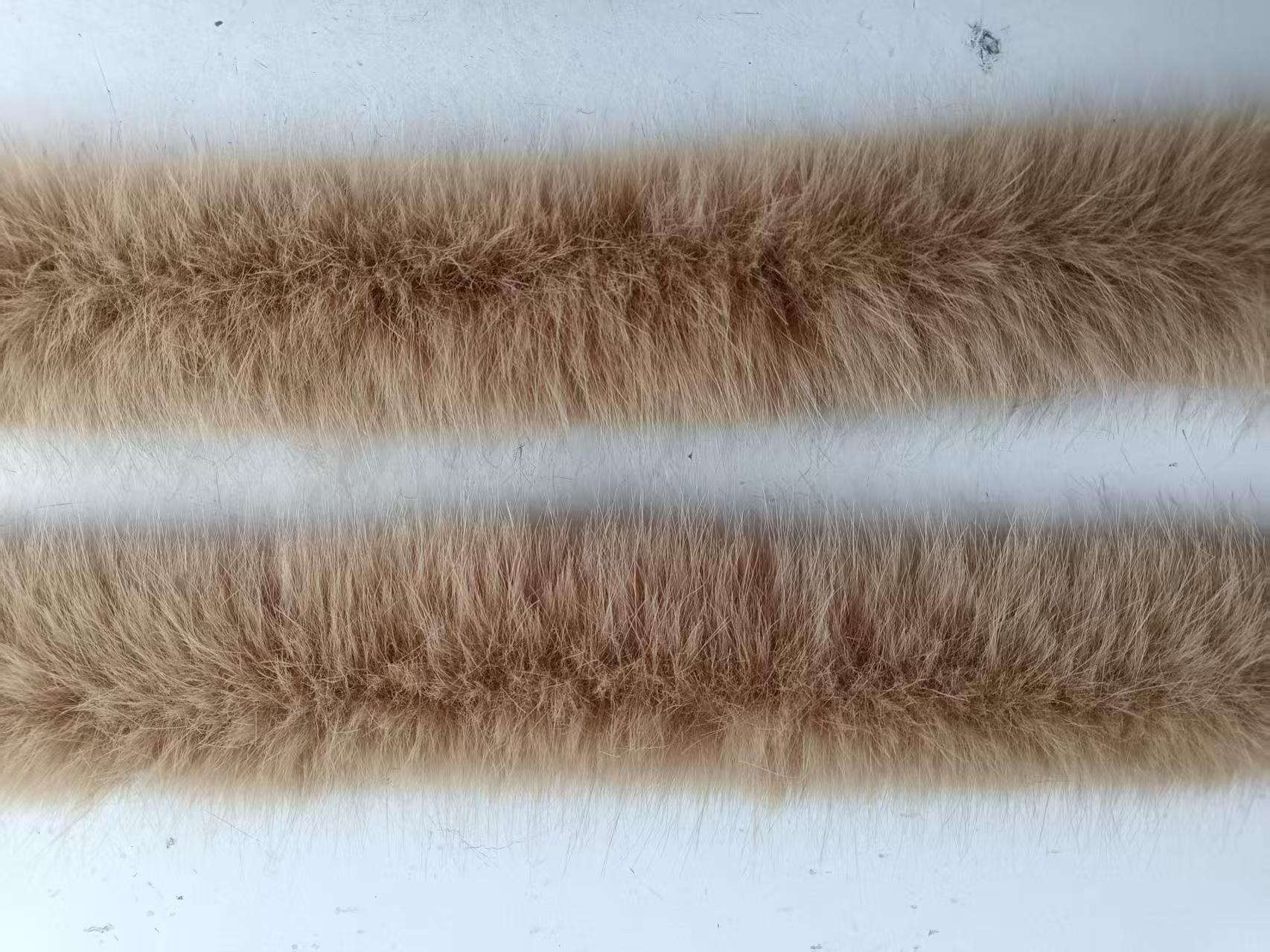 微信图片_20250329204603