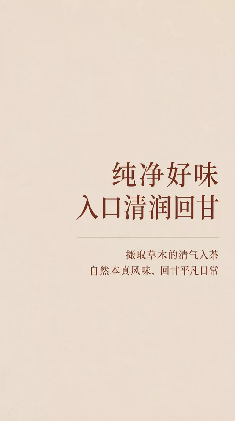Yu Zhu Ten White Tea Bags 70g Polyporus Solomon Seal Lily Blend Clearing Herbal Infusion in use