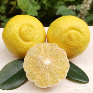 ���������Ӯ������r��ɽ�����䮔���S��ؕ�ִ�����С����10�����