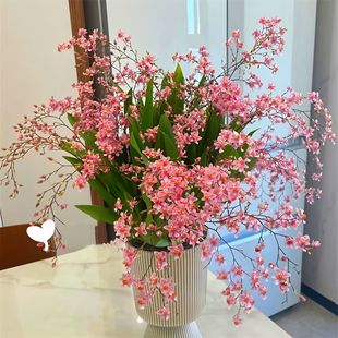 ��ˮ�����m���Ԏ��������F�����m�������m�҃�