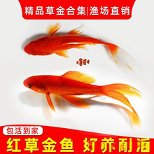 �t�ݽ��~���B�ͻ��Lβ��t���^�p�~�\�����w��ˮ�~��ˮ�~�\�a�t��